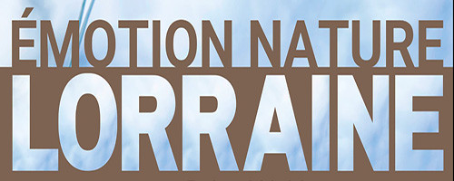 Roland Mehl à la synagogue